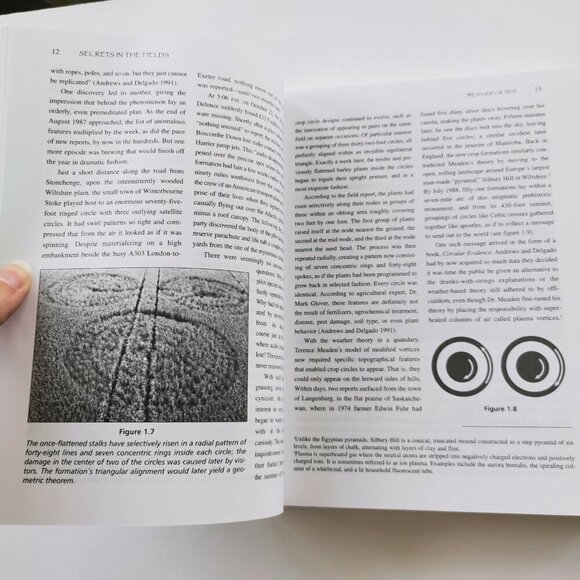 2002 Secrets in the Fields by Freddy Silva, Crop Circles Mysticism Science - Picture 6 of 9